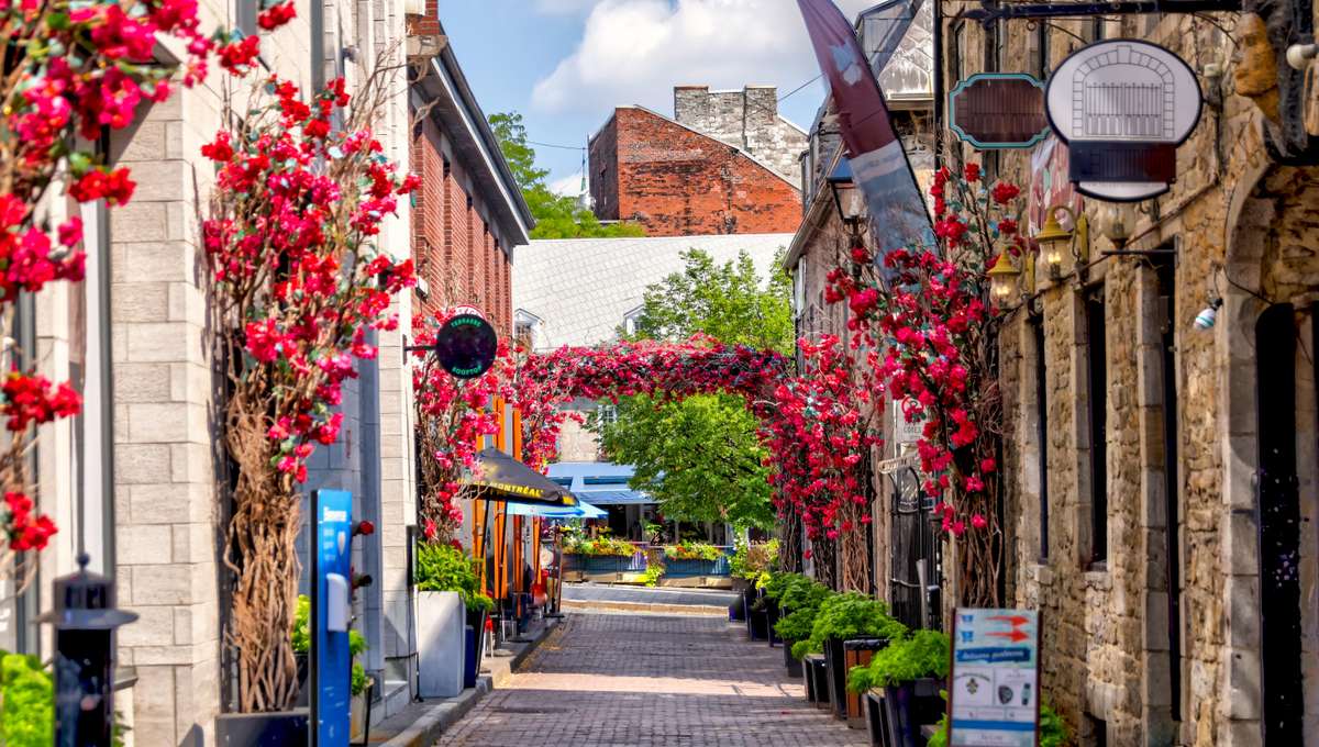 11-Day Cruise Around Canada and New England on the SAPPHIRE PRINCESS