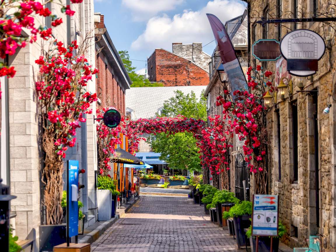 11-Day Cruise Around Canada and New England on the SAPPHIRE PRINCESS