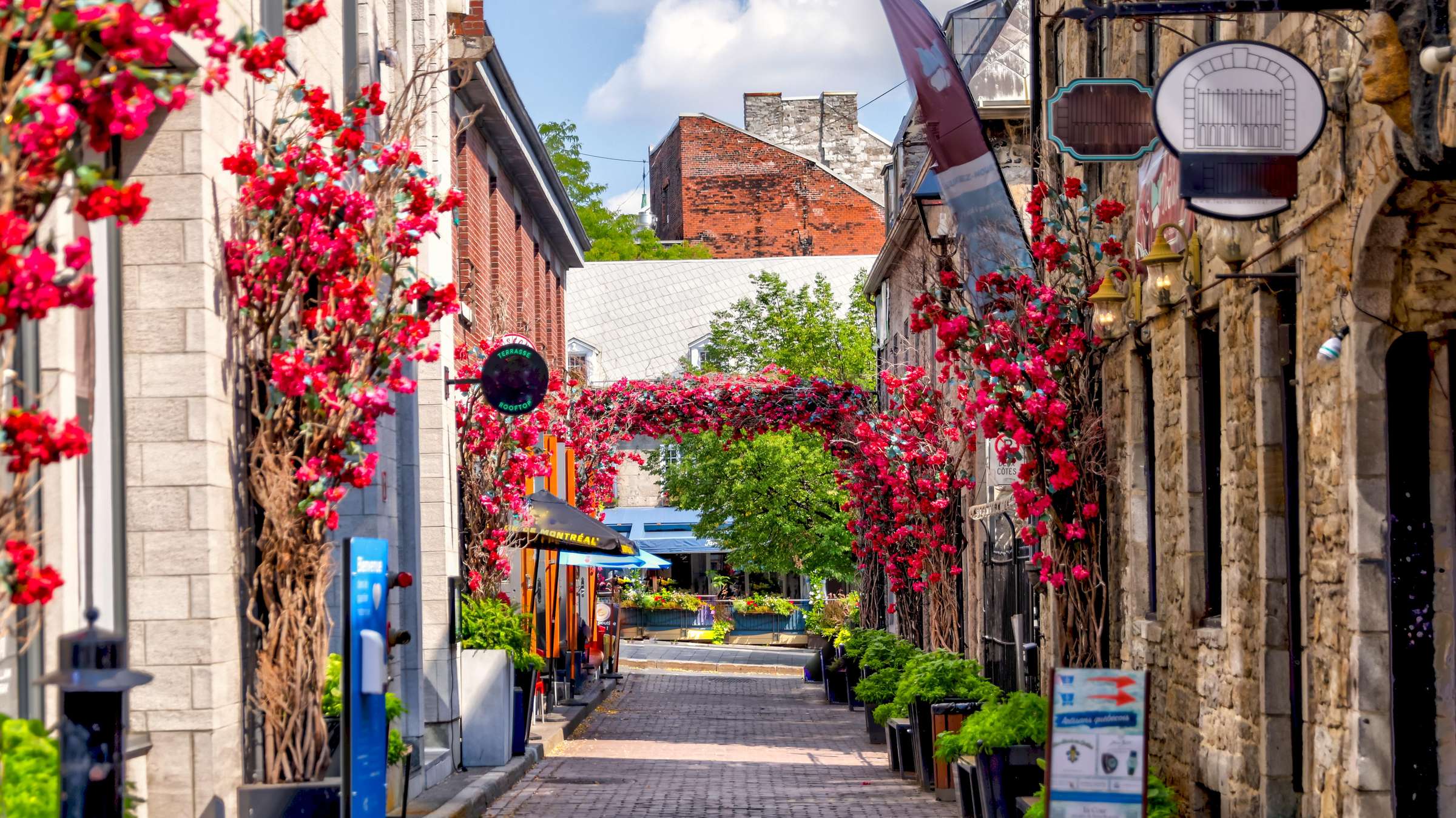 11-Day Cruise Around Canada and New England on the SAPPHIRE PRINCESS