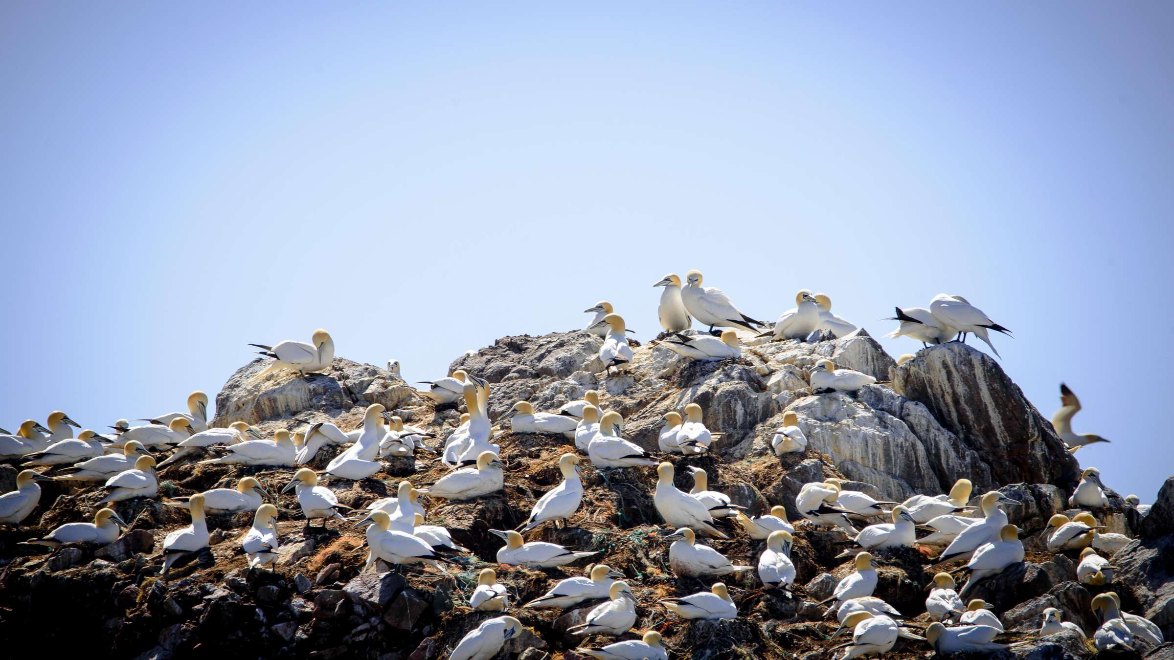 12-Day Canada and New England Cruise aboard the CARIBBEAN PRINCESS