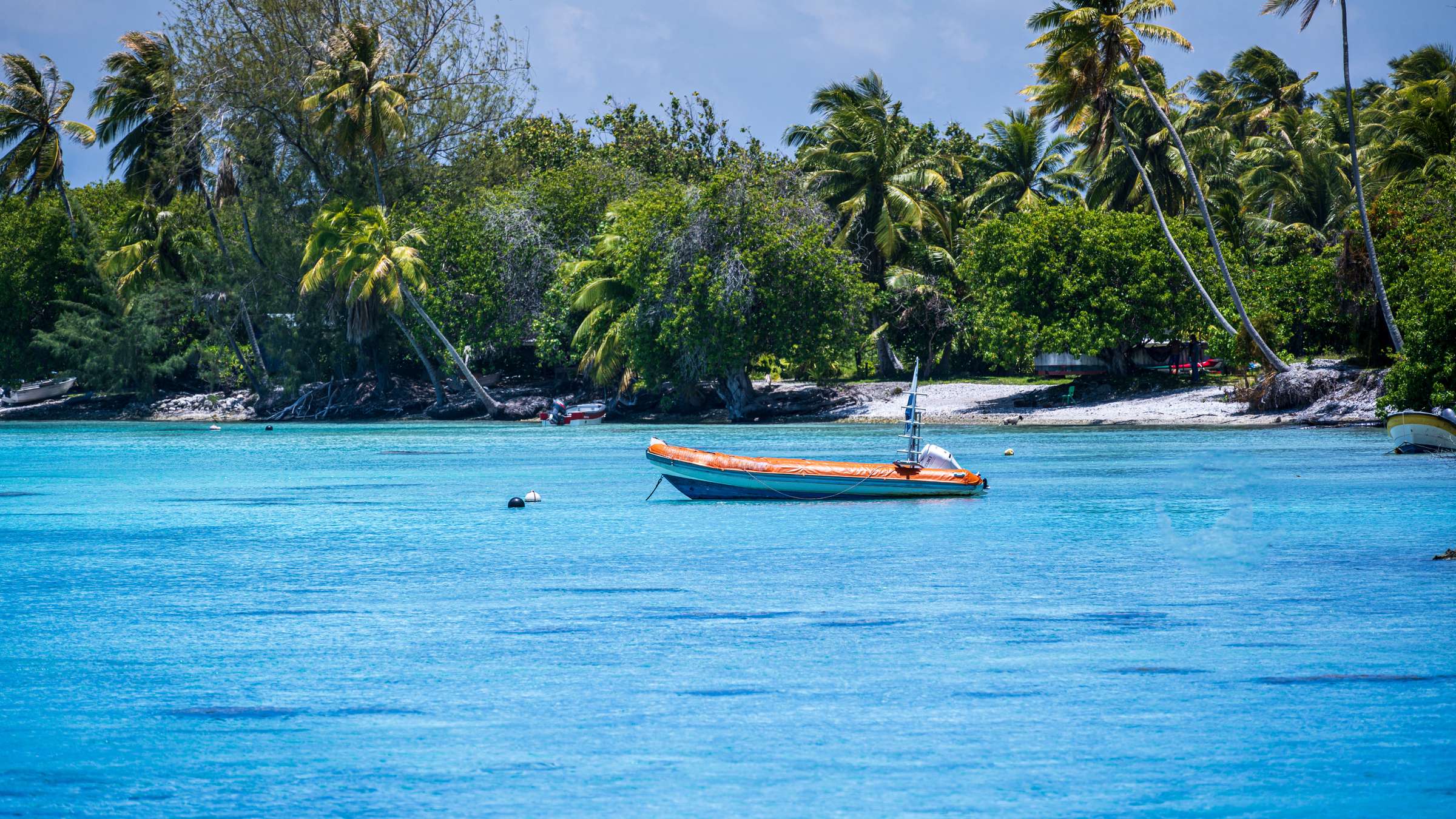 14-Day Oceania, Fiji Islands, and Micronesia Islands Cruise aboard the DISCOVERY PRINCESS