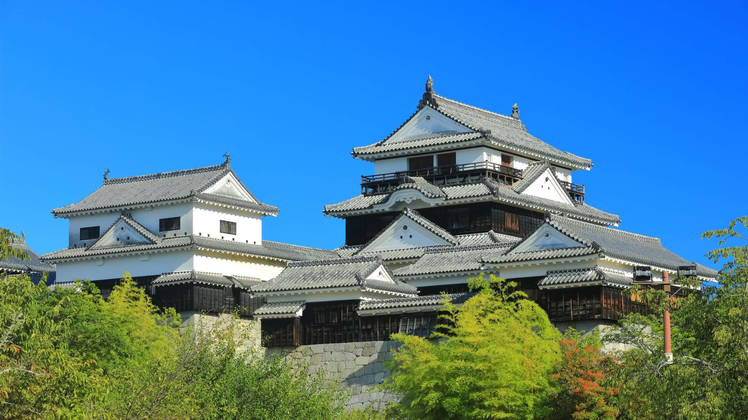 25-Day Cruise Aboard the DIAMOND PRINCESS: Japan Circumnavigation with a Stop in South Korea