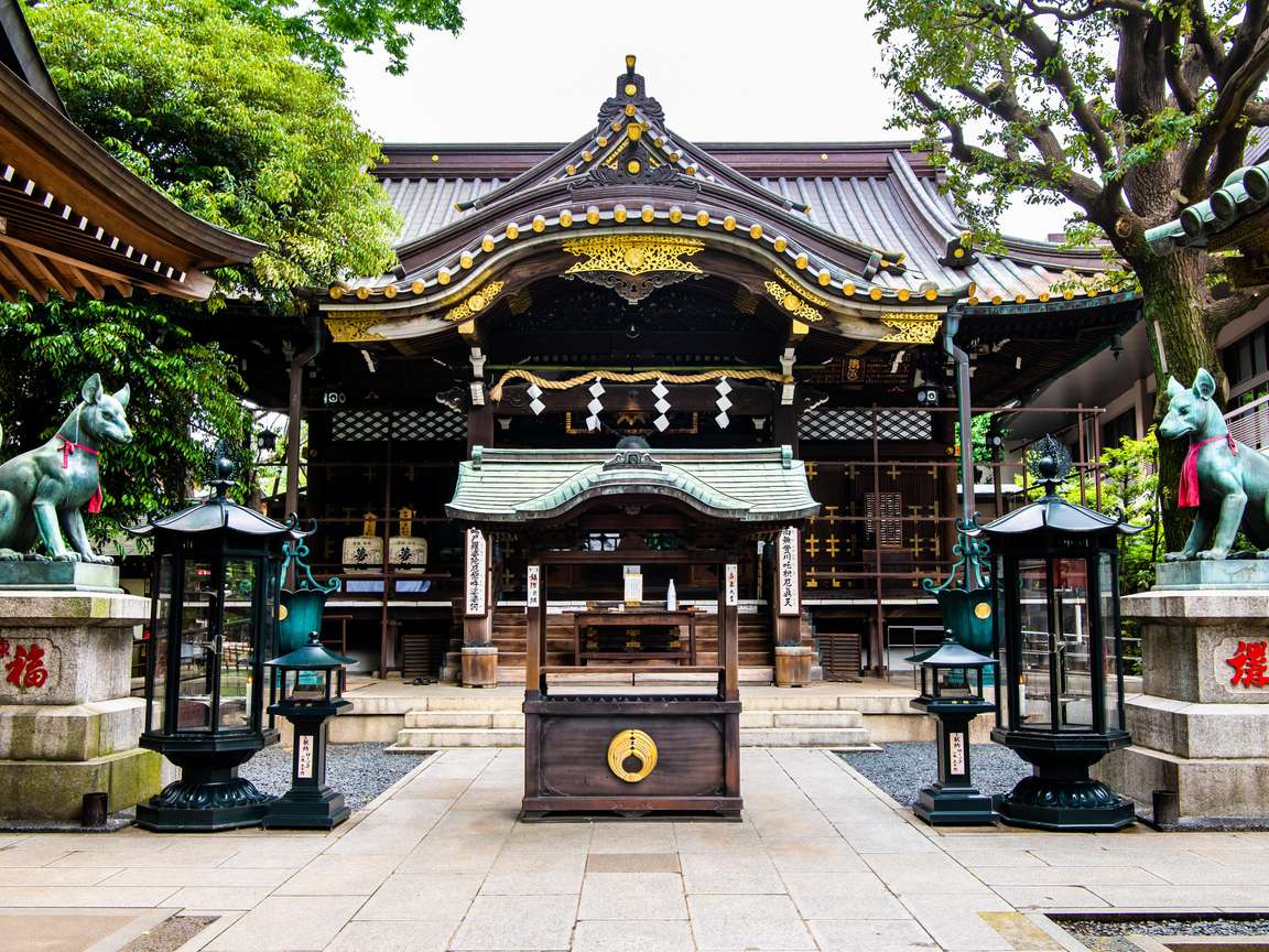 乘坐蓝宝石公主号游轮，进行为期 12 天的东海道和韩国著名景点之旅。