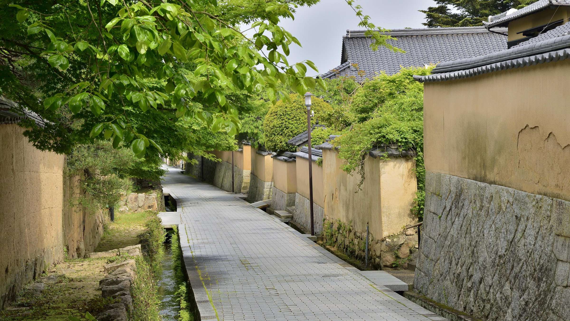 12-Day Cruise Around Japan and Korea on the DIAMOND PRINCESS