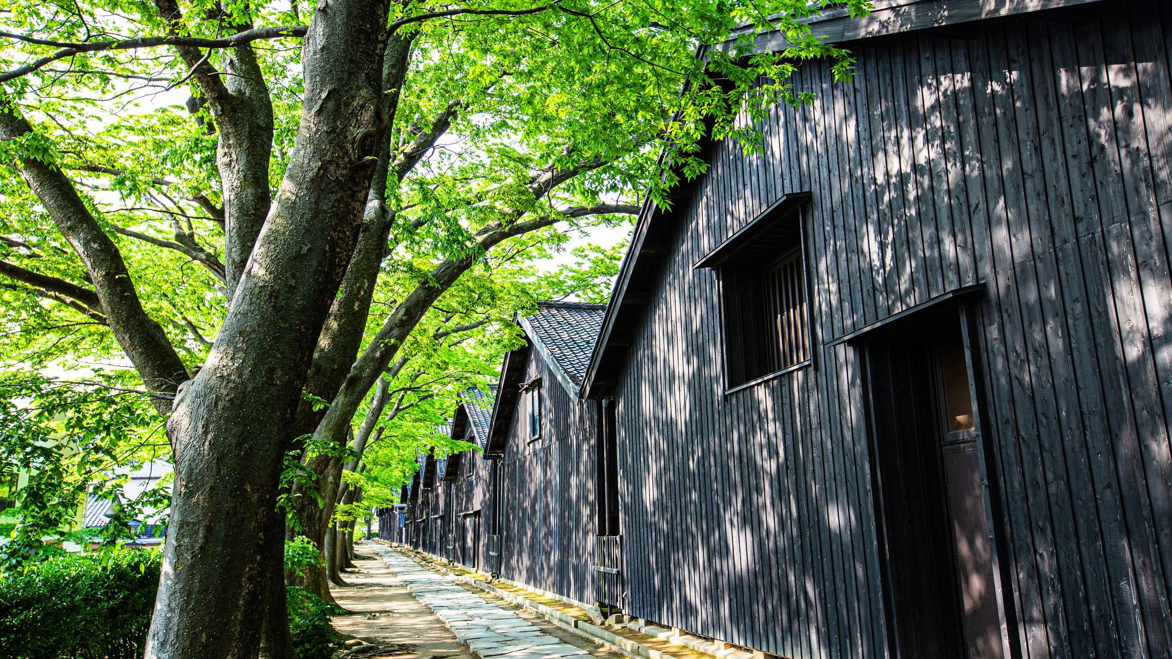 29-Day Asia and Japan Cruise on the DIAMOND PRINCESS