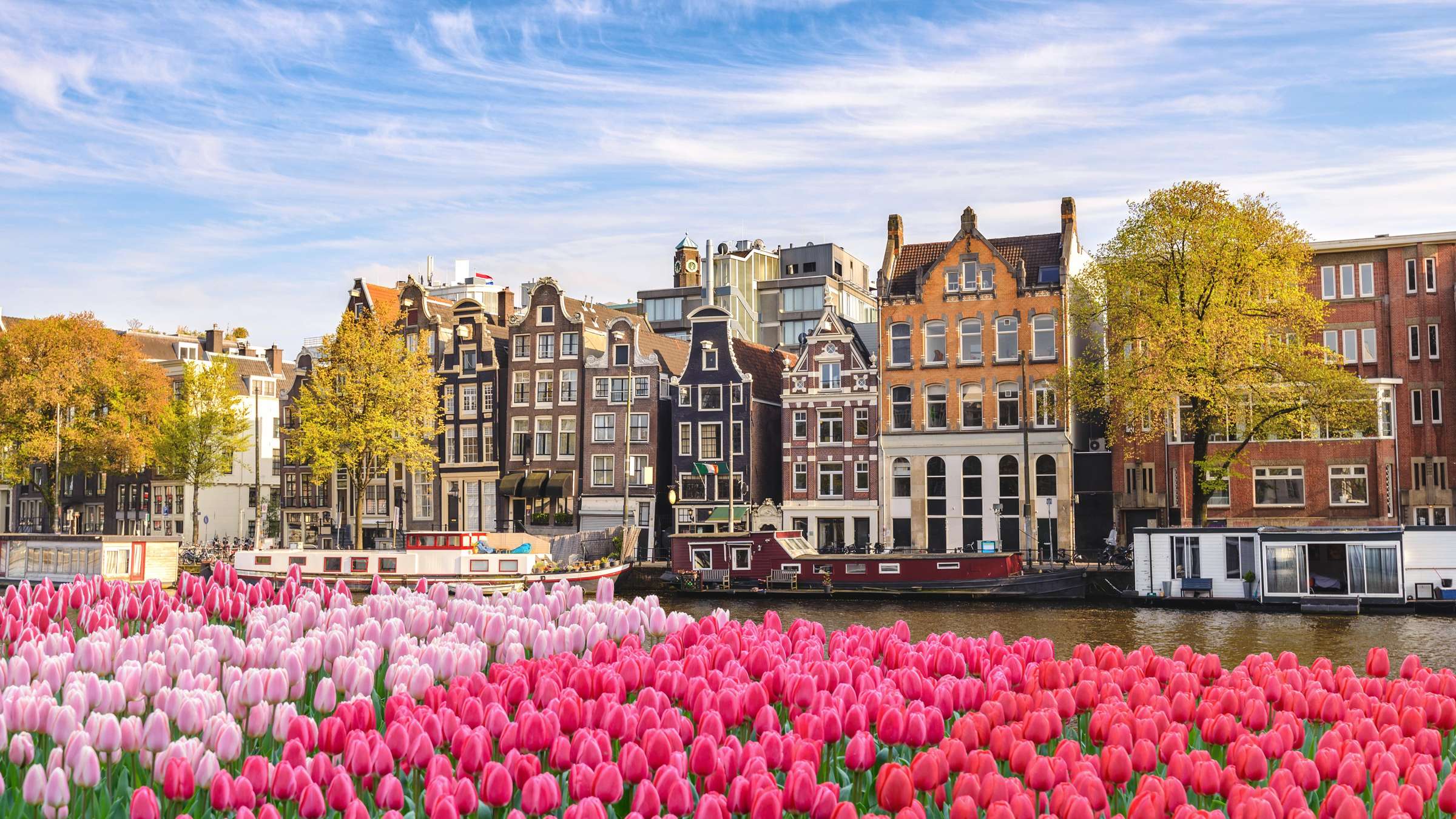 11-day cruise around Europe on MSC Euria