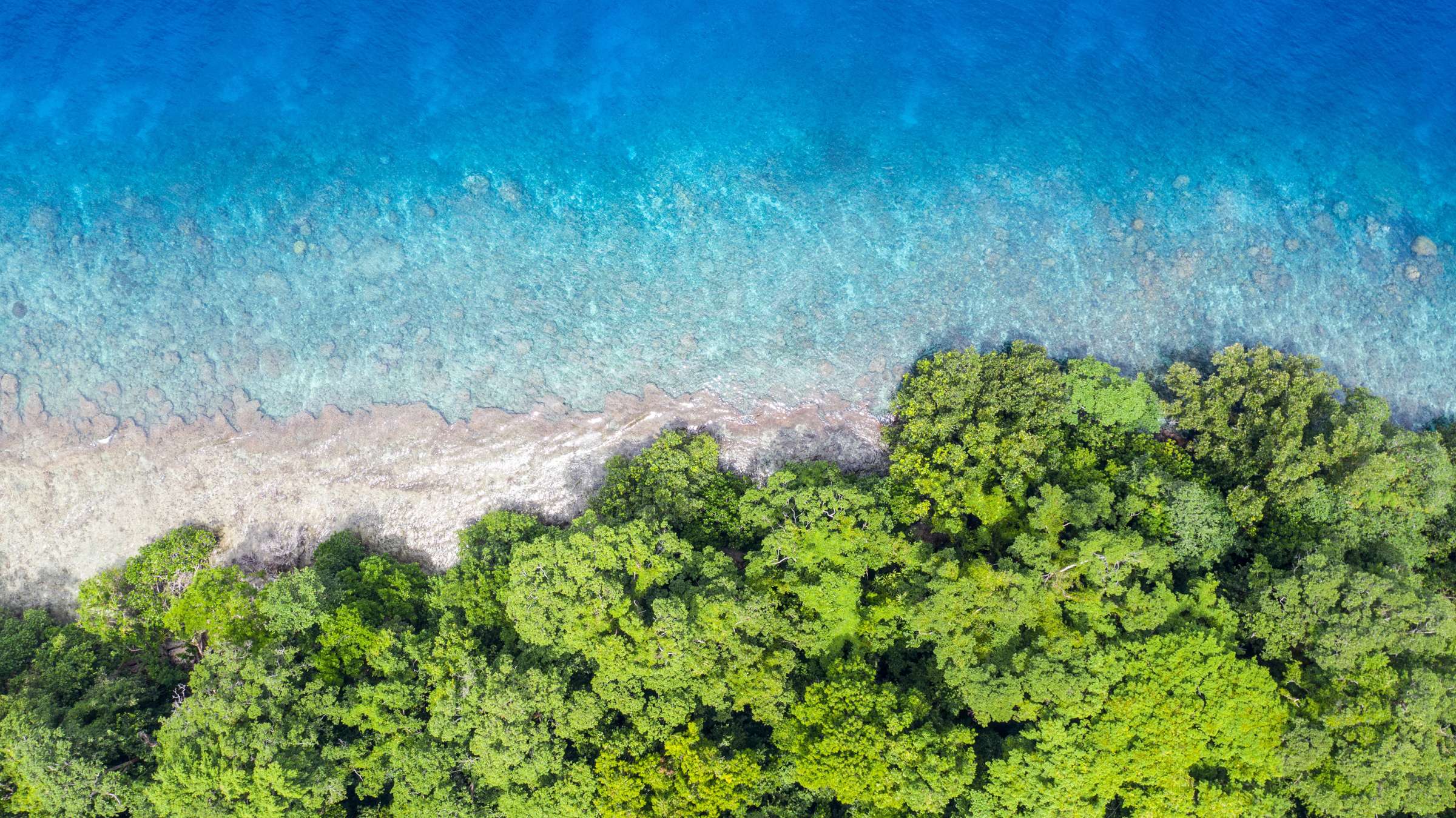 70-Day Oceania and Pacific Cruise aboard the CORAL PRINCESS
