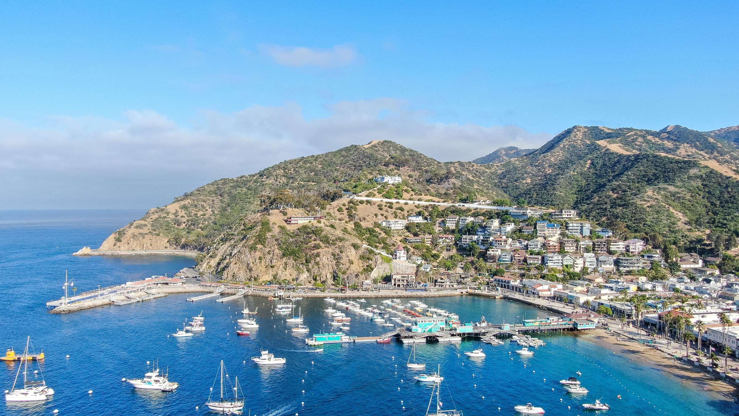 8-Day Cruise on the CROWN PRINCESS: West Coast of North America and Canada/New England