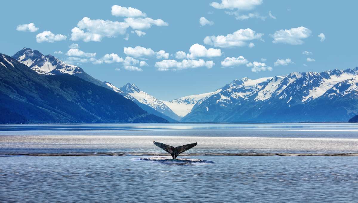 8-Day Alaska and British Columbia Cruise Aboard the ISLAND PRINCESS