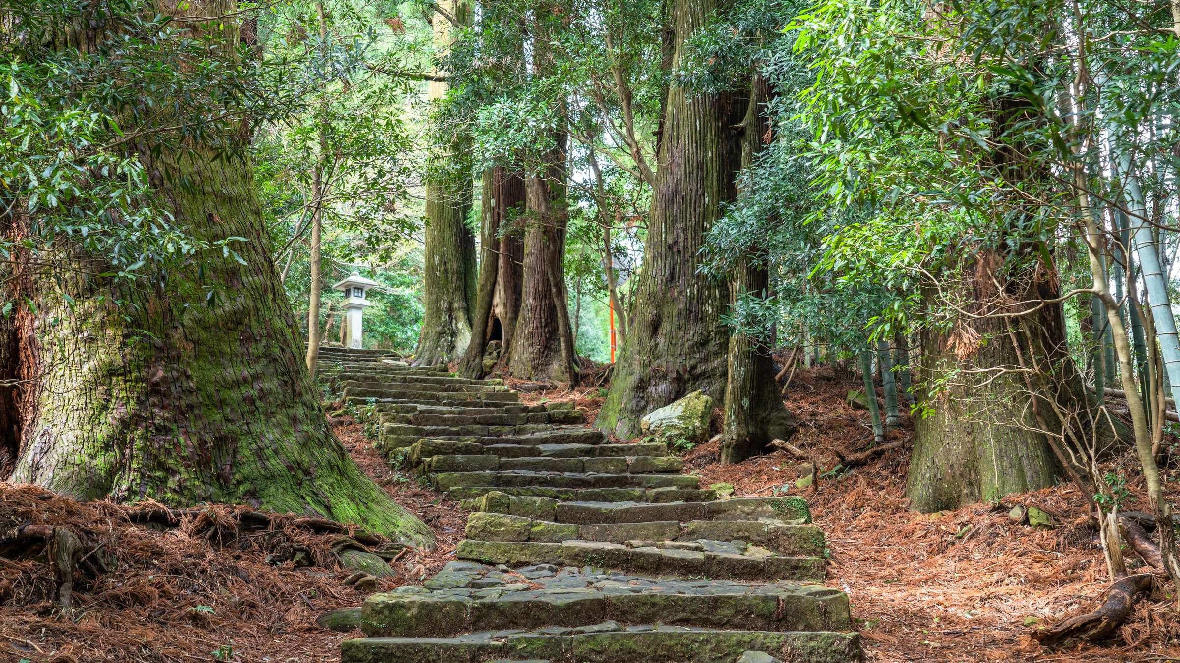 25-Day Cruise Touring Japan and Korea on the SAPPHIRE PRINCESS