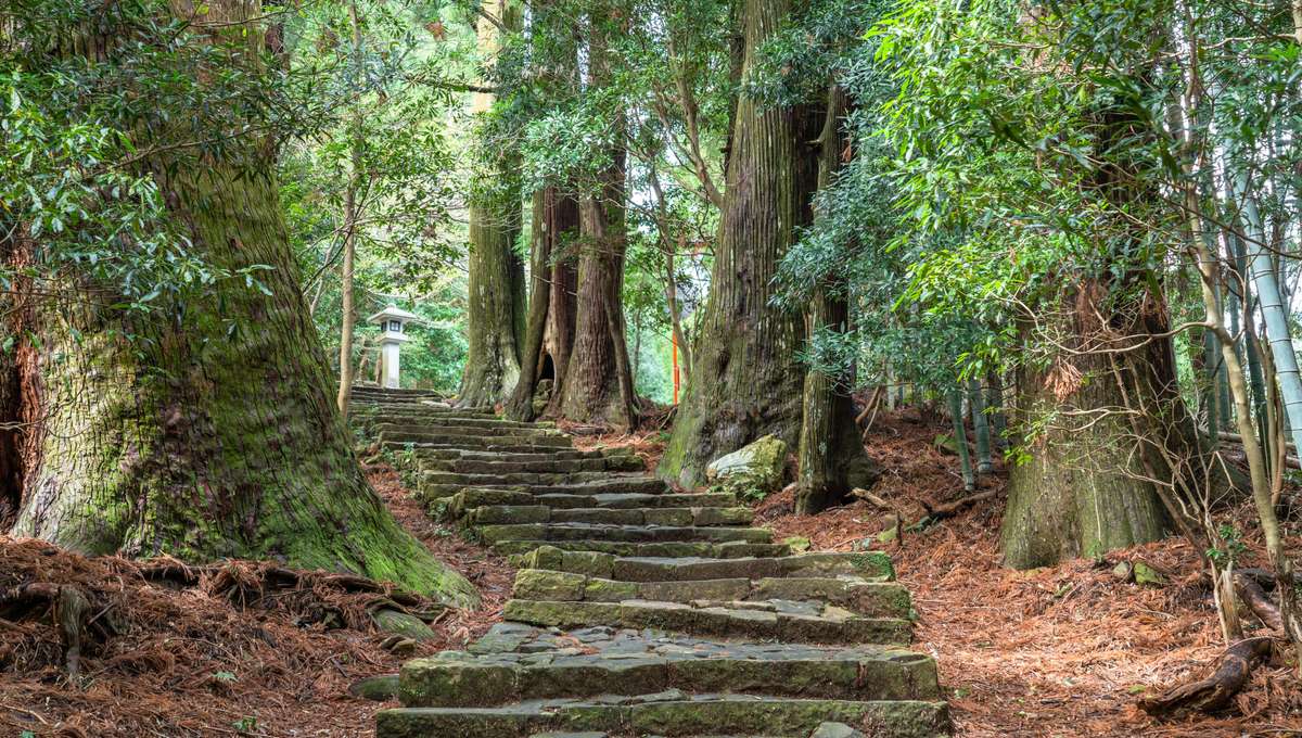 11-Day Cruise Around Japan and Korea on the DIAMOND PRINCESS