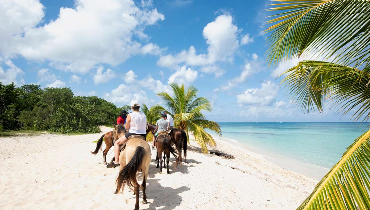 MSC World America Caribbean and Gulf of Mexico 8-Day Cruise