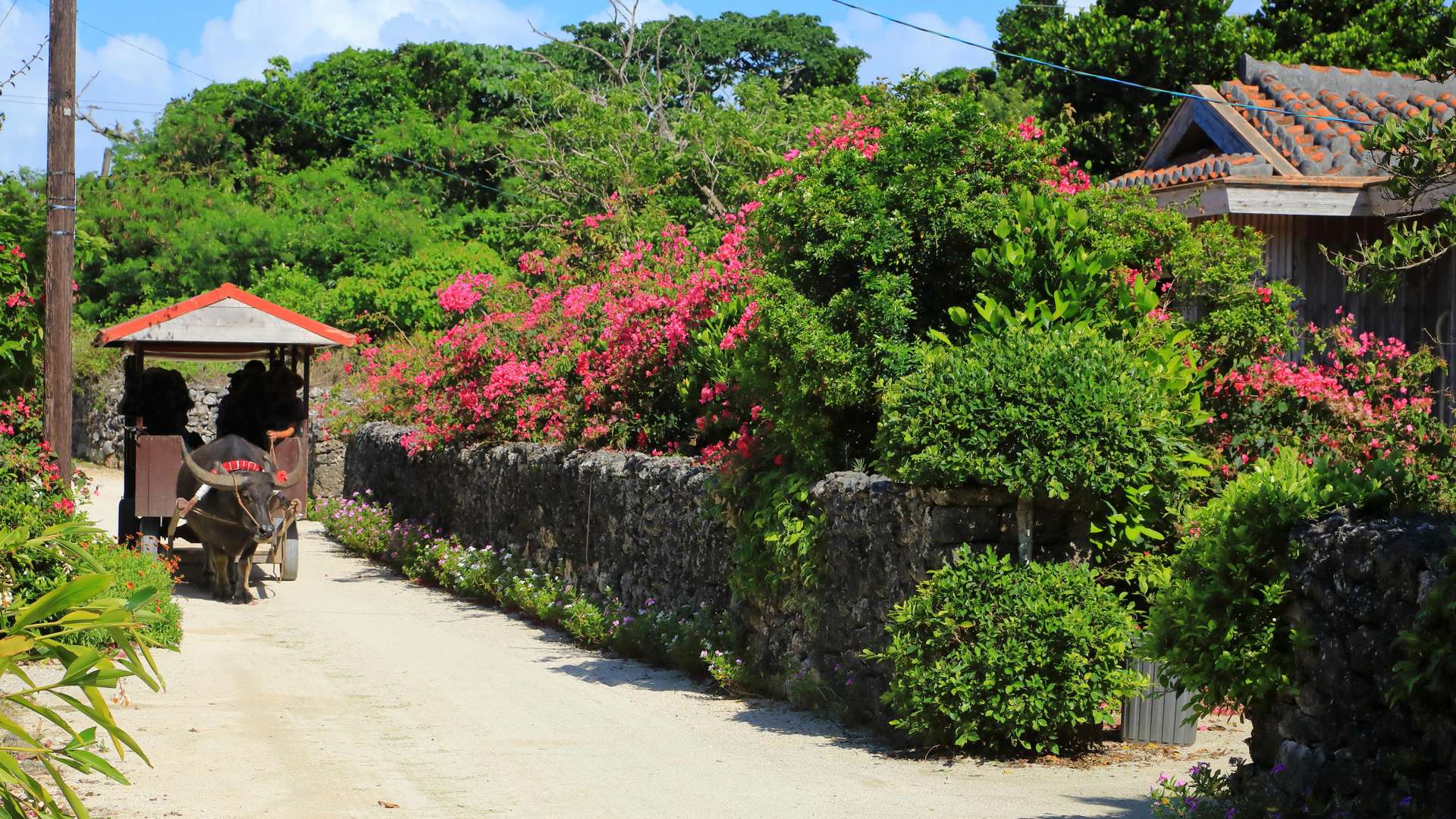 5-Day Cruise to Taiwan, Okinawa, and Ishigaki on MSC BELLISSIMA