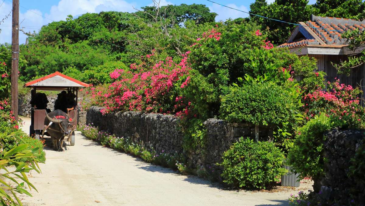 MSC ベリッシマ で行く 台湾と沖縄・石垣 5日クルーズ