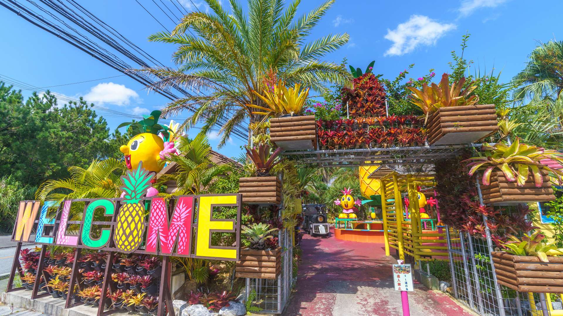 5-Day Cruise to Taiwan, Okinawa, and Ishigaki on MSC BELLISSIMA