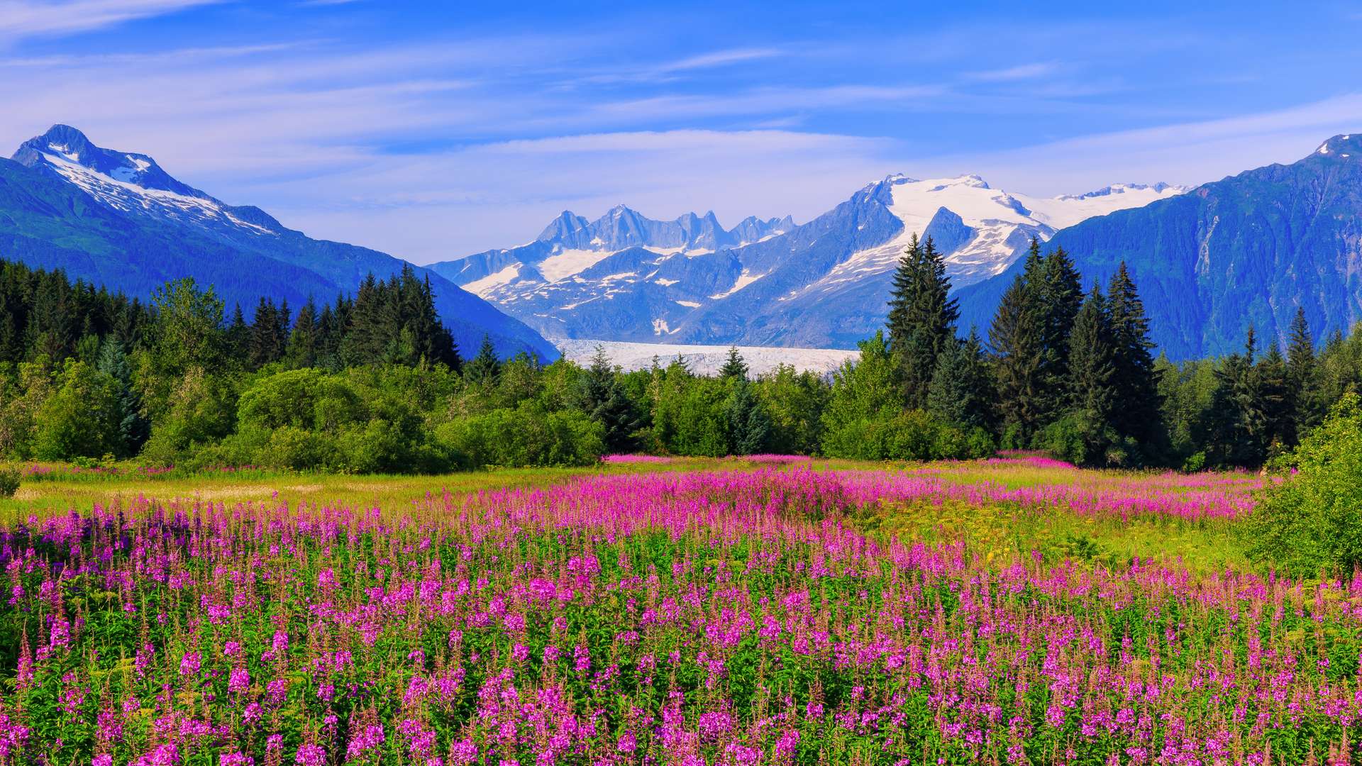 MSC Poesia 8-day cruise around Alaska and New England, Canada