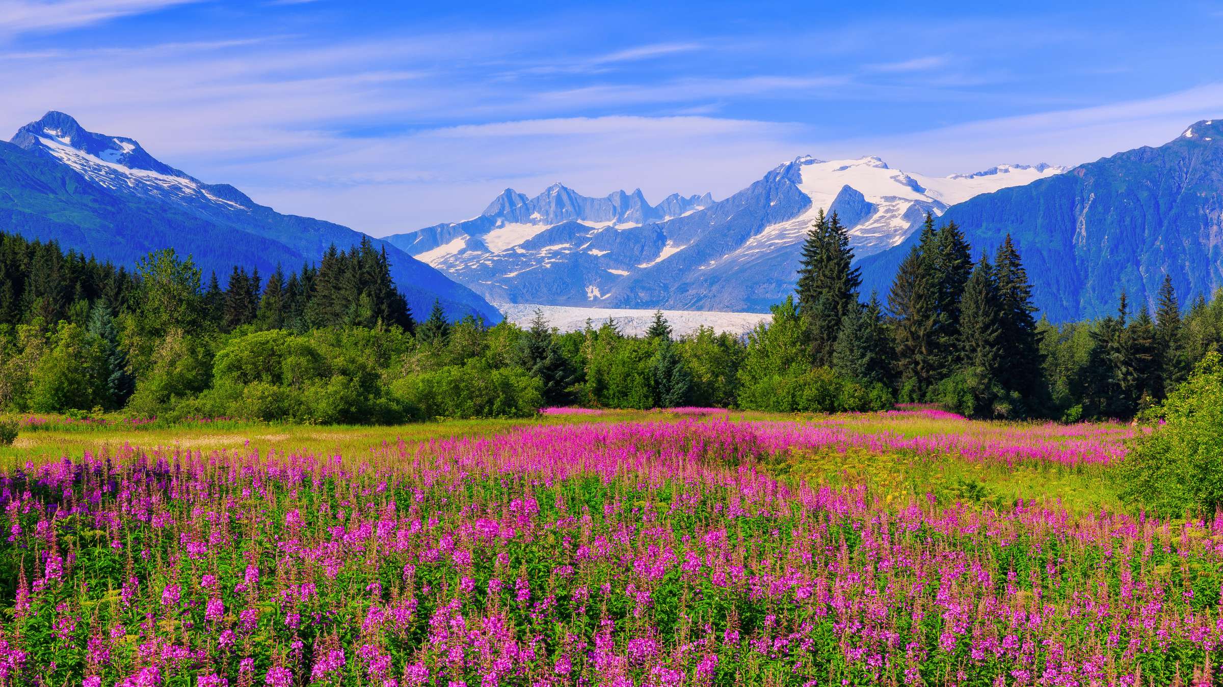 8-Day Cruise to Alaska and the West Coast of Canada on STAR PRINCESS