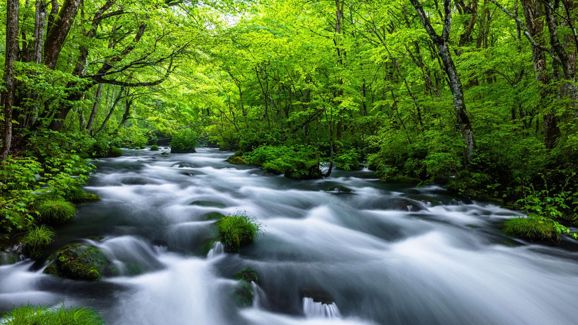 12-Day Cruise Around Japan and Busan, South Korea on the DIAMOND PRINCESS