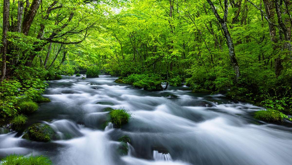 12-Day Cruise Around Japan and Busan, South Korea on the DIAMOND PRINCESS